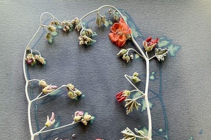 Make Sun Prints in the Desert - FAQs