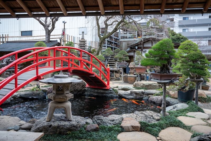 Make Your Own Bonsai with a Professional Bonsai Artist in Tokyo - Price, value, and what to confirm