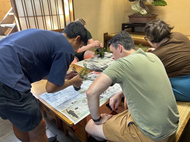 Make Your Own Bonsai with a Professional Bonsai Artist in Tokyo - Who will get the most from this class