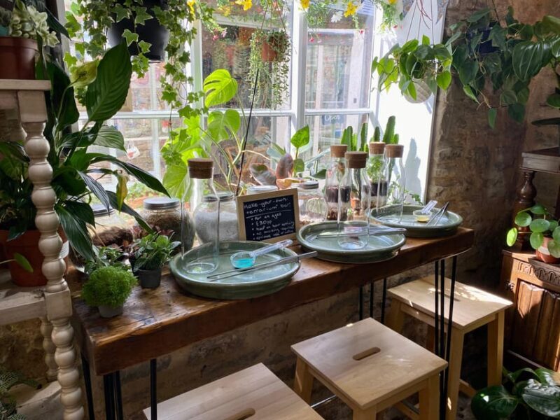 Make Your Own Terrarium in a houseplant paradise - Make Your Own Terrarium in a Houseplant Paradise: A Detailed Review