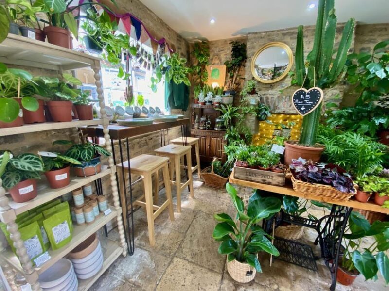 Make Your Own Terrarium in a houseplant paradise - Frequently Asked Questions (FAQs)
