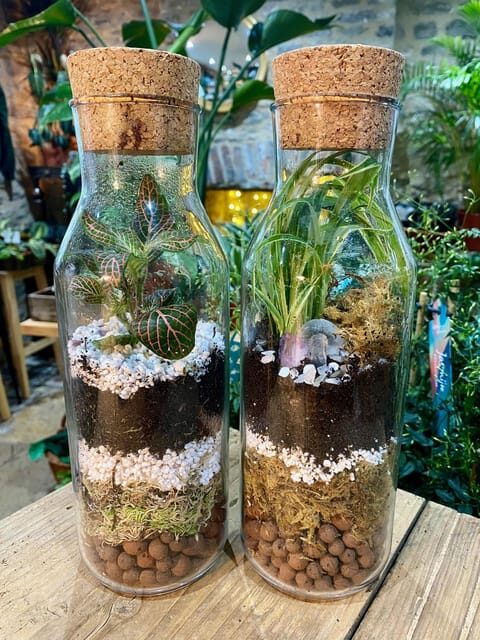 Make Your Own Terrarium in a houseplant paradise - The Sum Up