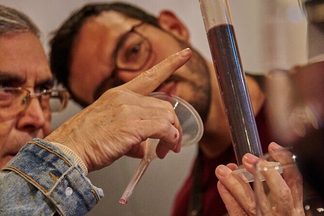 Make Your Own Wine & Guided Vineyard Tour - Why This Tour Works Well for Travelers