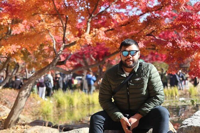 Make Your Trip Around Nami Island With an Expert(DSLR option) - A Comprehensive Look at the Private Nami Island Day Tour