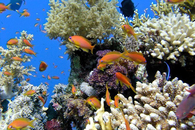 Makena Turtle Town Eco Adventure in Maui - Makena Turtle Town Eco Adventure in Maui: A Thorough Review