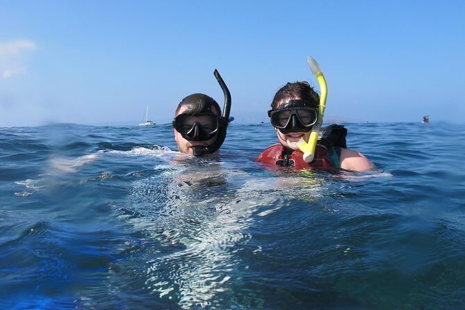 Makena Turtle Town Eco Adventure in Maui - Who Should Consider This Tour?