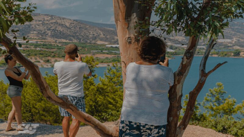 Makrigialos-Ierapetra: Hidden Villages & Olive Oil Farm Tour - Exploring Crete in a Day: What to Expect