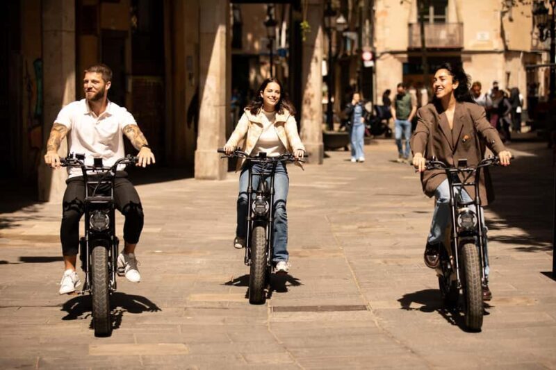 Malaga: 4 hours E-Fatbike with Helmet and Lock - The Sum Up
