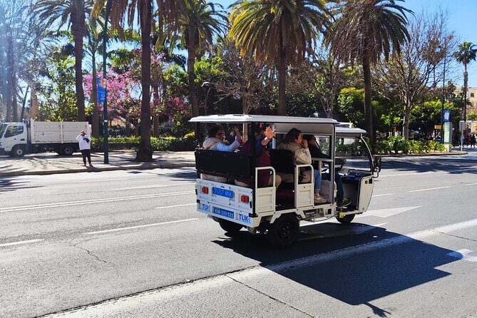Malaga by Tuk Tuk i : 1 or 2 hours Private city tour - A Detailed Look at the Malaga Tuk-Tuk Experience