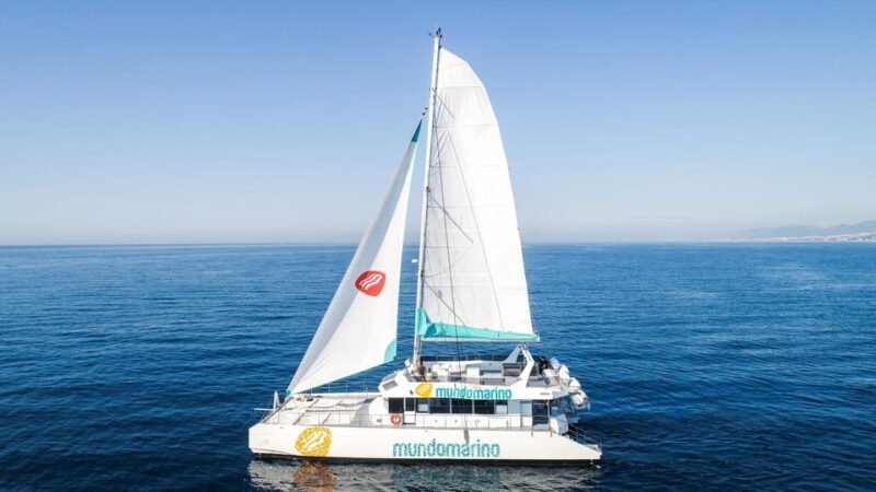 Malaga: Catamaran Sailing Trip with Sunset Option - The Sum Up