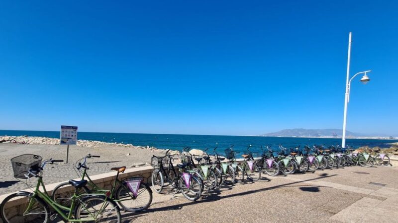 Malaga: City Bike Rental with Self-Guided Cycling Route - Who This Tour Is Best Suited For