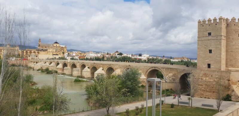 Málaga: Cordoba Day Trip and Optional Mosque-Cathedral Entry - Key Points