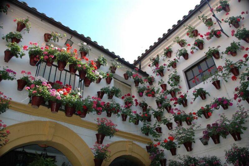 Málaga: Cordoba Day Trip and Optional Mosque-Cathedral Entry - FAQs
