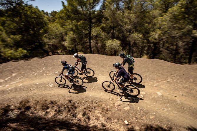 Malaga E-MTB Tour: Botanical Garden, Natural Park and Port of Malaga - A Deep Dive into the Malaga E-MTB Tour Experience