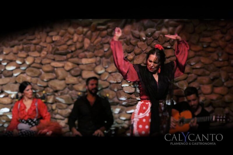 Malaga: El Gallo Ronco Flamenco Show Admission Ticket - The Highlighted Features