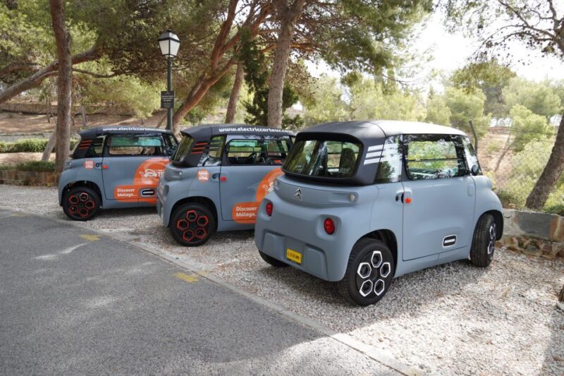 Malaga: Electric Car City Tour and visit Gibralfaro Castle - Who Should Consider This Tour?