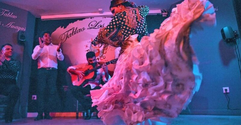 Málaga: Flamenco and City Highlights Guided Tour - Final Thoughts