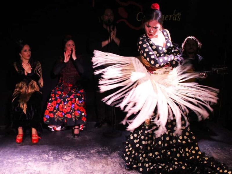 Malaga Gastronomic and Cultural Tour: Tapas, Wine & Flamenco - How Does It Compare in Value?