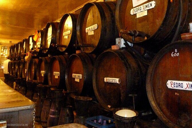 Malaga Gastronomy Tour Wines and Spanish Tapas - Key Points