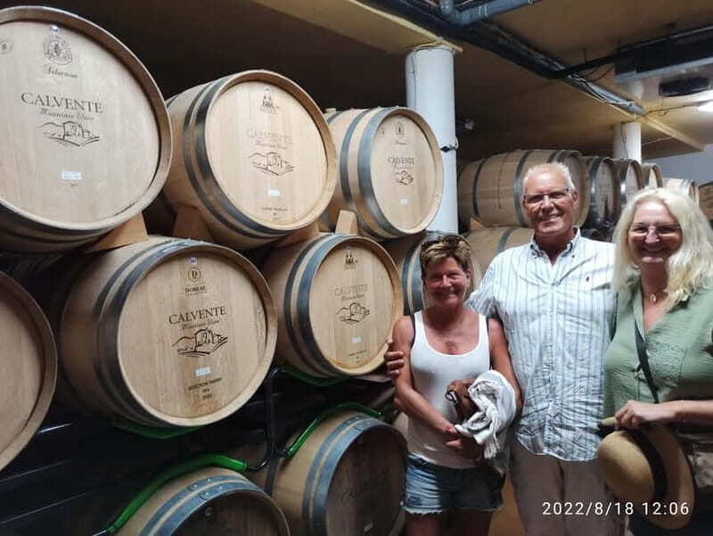 Malaga & Granada: Wine Tasting and Tapas with Resort Pickup - An In-Depth Look at the Tour Experience