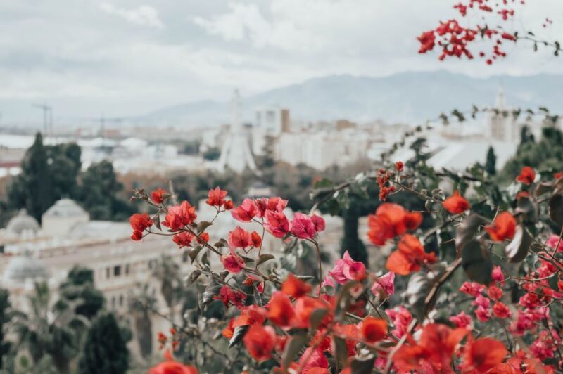 Málaga: Highlights, Old Town & Viewpoint Walking Tour - FAQs