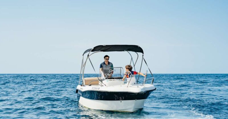 Malaga: License-free Boat Rental for Dolphin Watching - Key Points