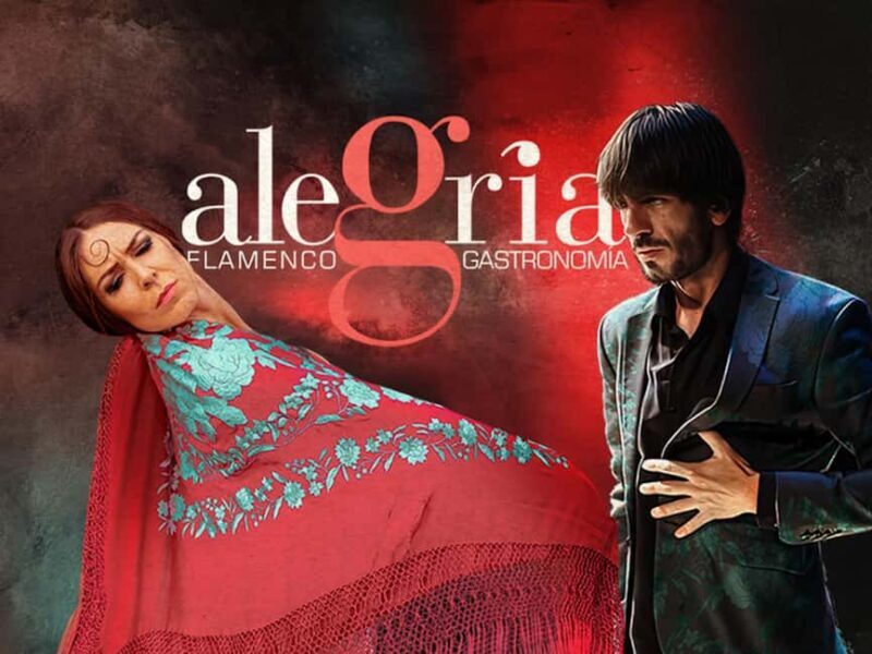 Málaga: Live Flamenco Show at Flamenco Alegría - A Cultural Snapshot of Málaga