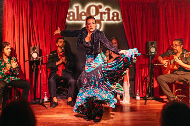 Málaga: Live Flamenco Show at Flamenco Alegría - Practical Tips for Visitors