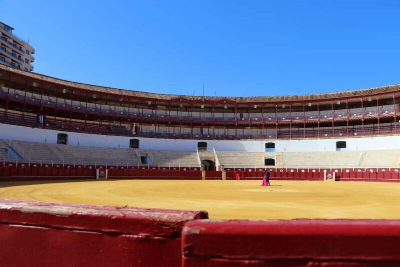 Malaga: Private Guided Tour of the Bullring and Immersive Museum - A Detailed Look at the Tour Experience