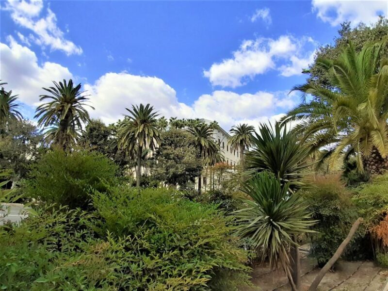 Malaga: Private walking tour - Who Would Enjoy This Tour?