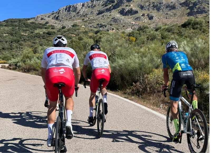 Málaga: Road Bike Tour with Guide and Bike Rental - Key Points