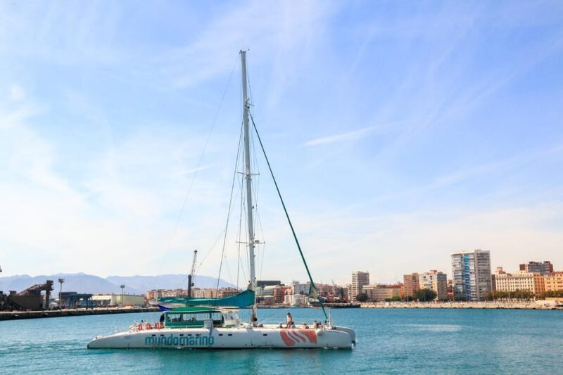 Malaga: Sailing Catamaran with Swimming and Paella Lunch - The Sum Up: Who Will Love This Tour?