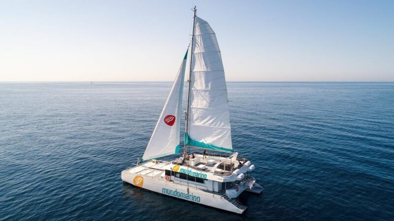 Malaga: Sailing Catamaran with Swimming and Paella Lunch - FAQ