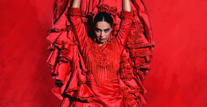 Malaga: Teatro Flamenco Malaga Live Flamenco Show - A Deep Dive into the Flamenco Experience in Malaga