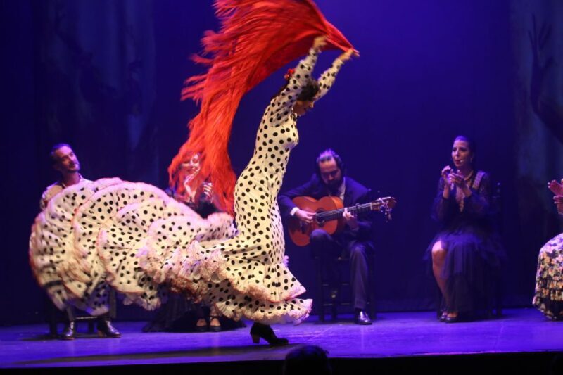 Malaga: Teatro Flamenco Malaga Live Flamenco Show - Authenticity and the Performer Reviews