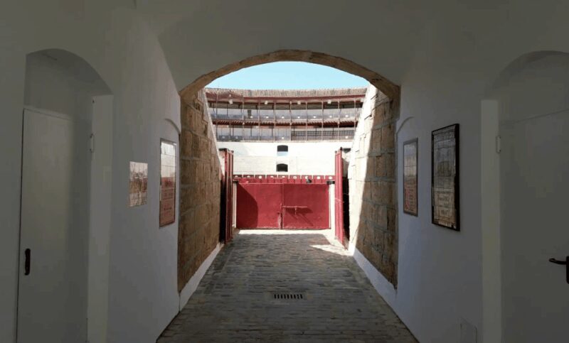 Malaga: Tour of Malagueta Bullring & Immersive Exhibition - Final Thoughts