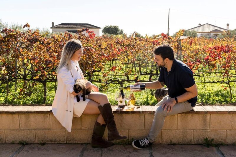 Malaga: Vineyard and Cellar Visit with 6 Top Wines and tapas - In-Depth Review of the Malaga Vineyard Tour