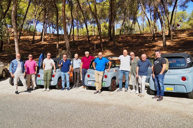 Málaga VIP Tour by Electric Car  Private 5-Hour Experience - FAQs