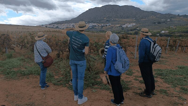 Malaga: White Village, Vineyard, and Wine Tasting Wine Tour - Practical Details and Tips