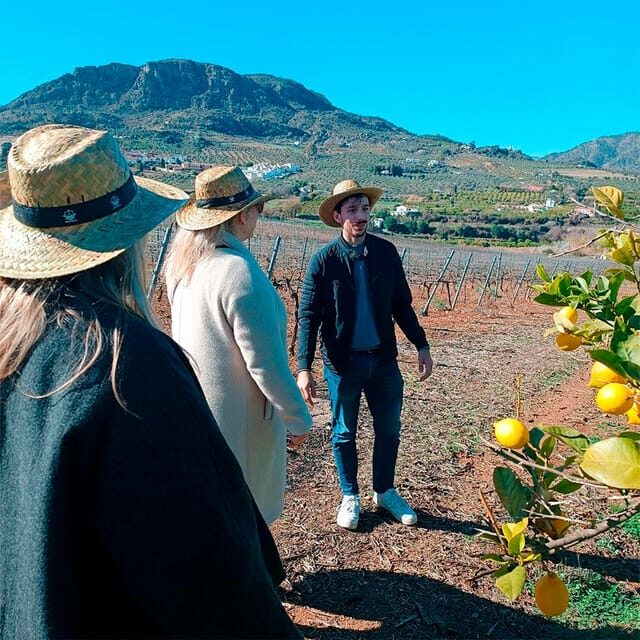 Malaga: White Village, Vineyard, and Wine Tasting Wine Tour - FAQ