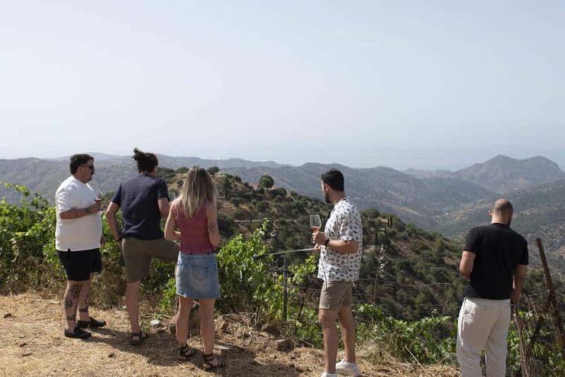 Málaga:Exclusive Heroic Vineyard Visit & Natural WineTasting - Key Points