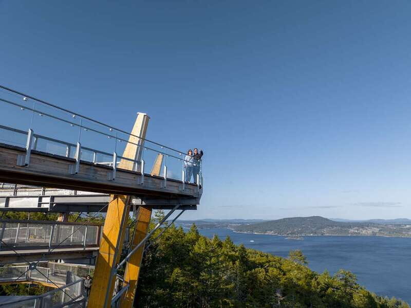 Malahat SkyWalk Ticket - Malahat SkyWalk Ticket: A Nature Lover’s Elevated Adventure in British Columbia