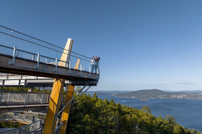 Malahat SkyWalk Tickets - The Experience in Detail