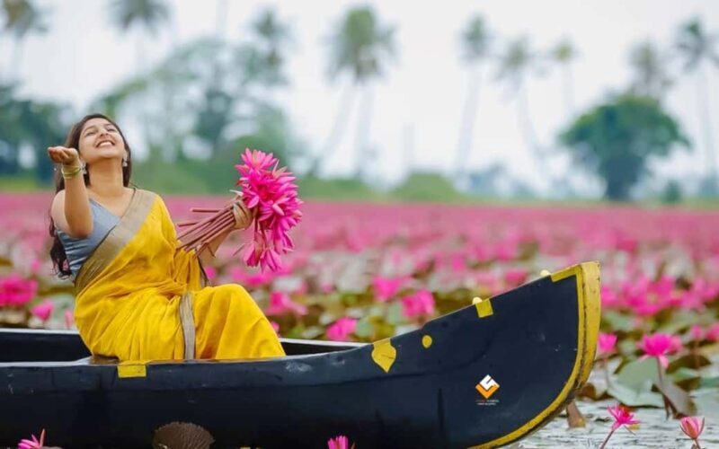 Malarikkal Viewpoint Tour from Cochin-Keralas Hidden Gem - Malarikkal Viewpoint Tour from Cochin – Kerala’s Hidden Gem