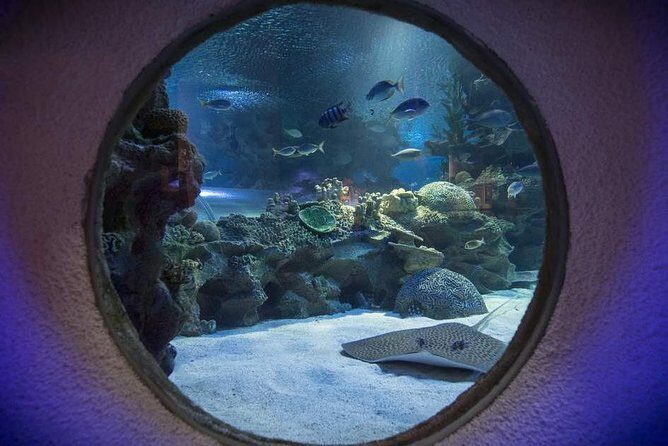 Malaysia: Aquaria KLCC Entry Ticket - The Value of Your Visit