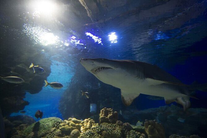 Malaysia: Aquaria KLCC Entry Ticket - Frequently Asked Questions