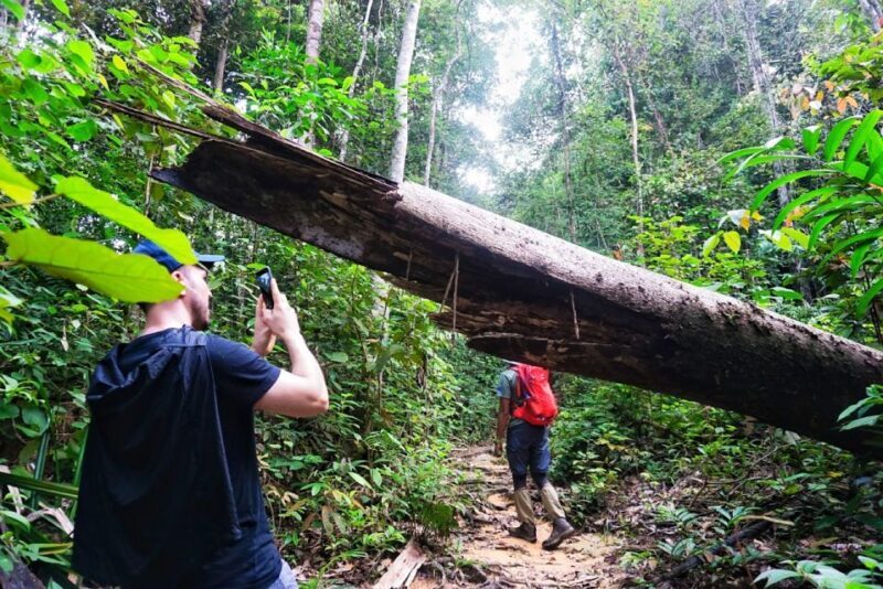 Malaysia: Gunung Panti Forest Reserve Guided Nature Tour - Final Thoughts