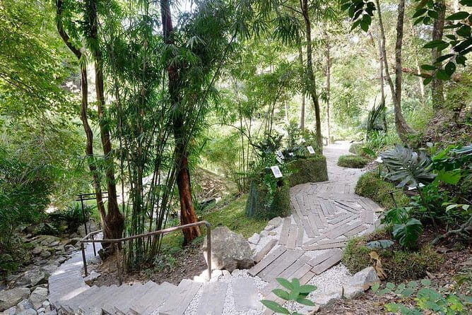 Malaysia: Penang Tropical Spice Garden Guided Tours Tickets - The Detail-Driven Review of the Tropical Spice Garden Experience