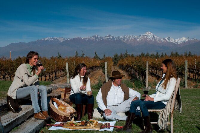 Malbec & Mountain Uco Valley Private Wine Tour with Gourmet Lunch - Discover the Malbec & Mountain Uco Valley Private Wine Tour with Gourmet Lunch