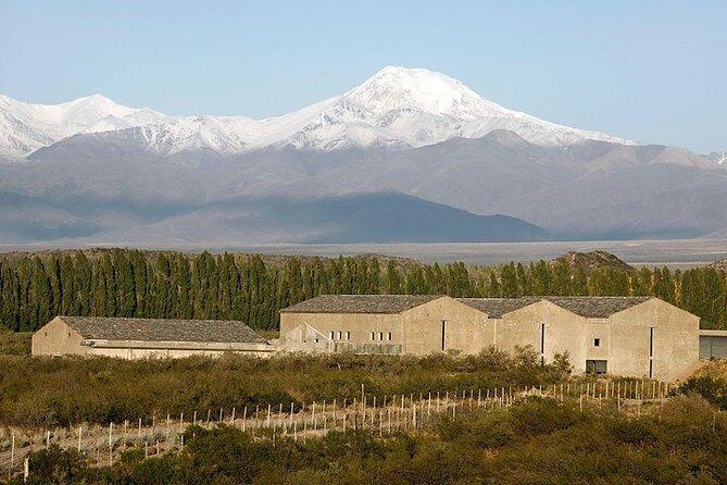 Malbec & Mountain Uco Valley Private Wine Tour with Gourmet Lunch - Final Thoughts
